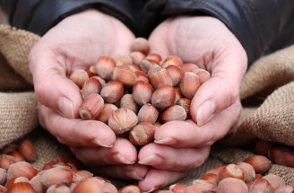 TOP 9 dôvodov, prečo jesť lieskové orechy: Dajte im šancu už dnes!
