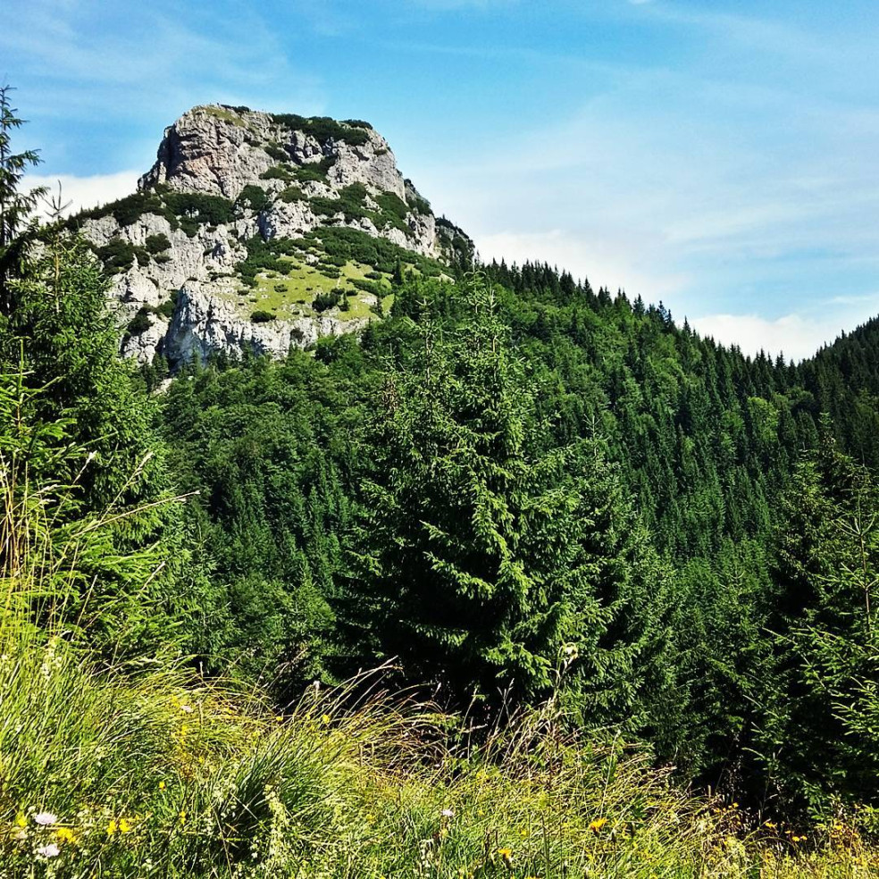 Malý Rozsutec