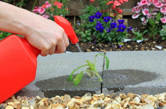 Ako sa zbaviť buriny vo vašej záhrade: Vyskúšajte tieto triky!