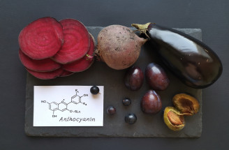 Spoznajte najzdravšie antioxidanty: Kde a prečo vyhľadávať antokyány?