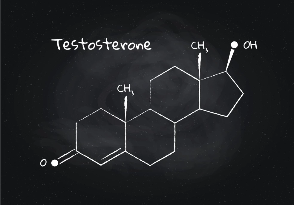 testosterón v krvi