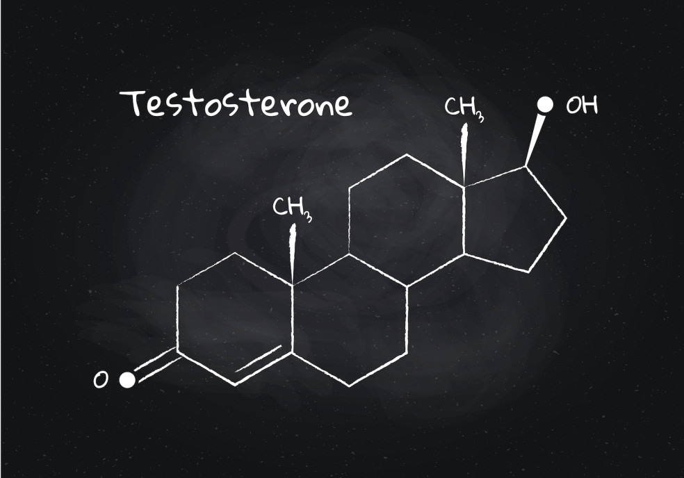 testosterón v krvi