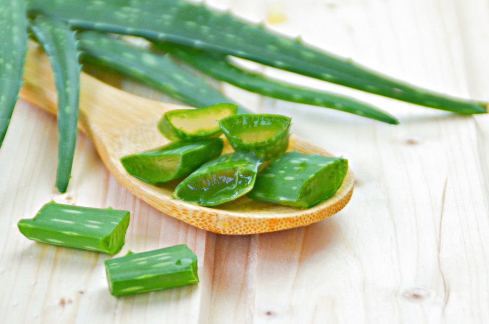 Aloe vera