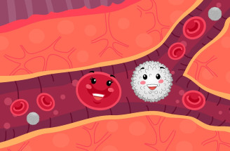 Leukocyty alebo biele krvinky – čo všetko by sme o nich mali vedieť?