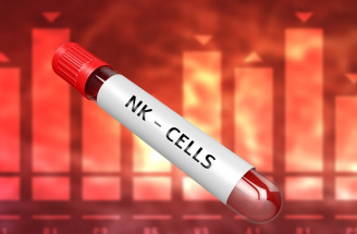 NK bunky ako dôležitá súčasť imunitného systému – aké majú funkcie?