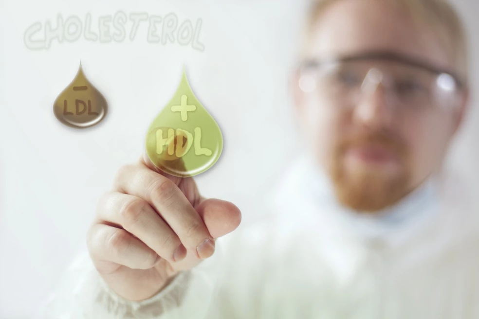 LDL cholesterol