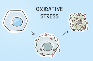 Viete, ako sa chrániť pred oxidačným stresom?