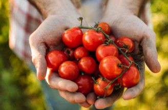 Ako v paradajkách zvýšiť obsah lykopénu s protirakovinovým účinkom? TAKTO ľahko!