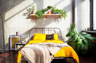 TOP izbové rastliny do spálne: Tieto vám zabezpečia lepší spánok!