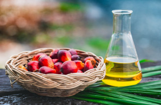 Je palmový olej v potravinách problém? Ako vplýva na zdravie či prírodu?