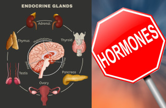 Hormóny v ľudskom tele: Ktoré by sme mali poznať a čo o nich vedieť?