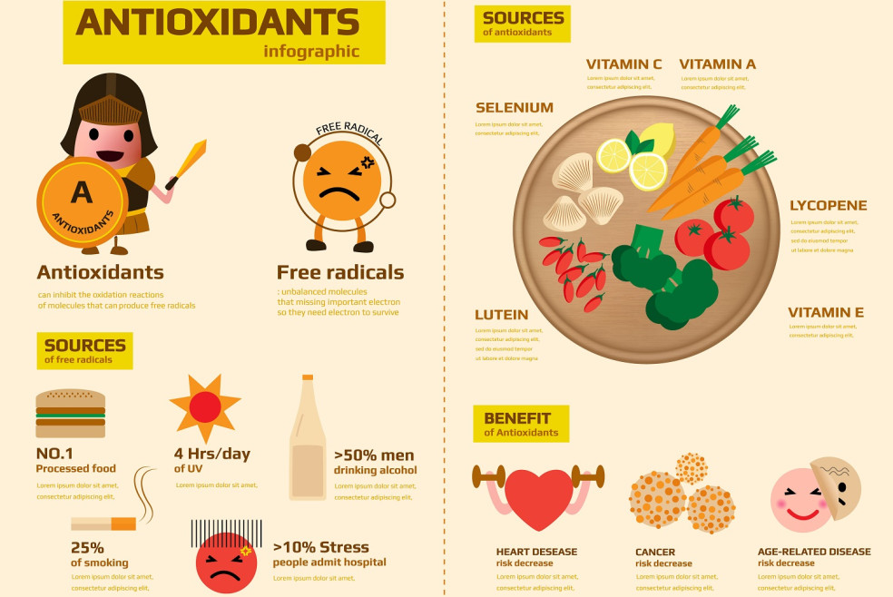 význam antioxidantov