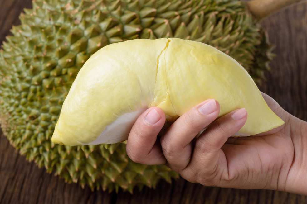 durian