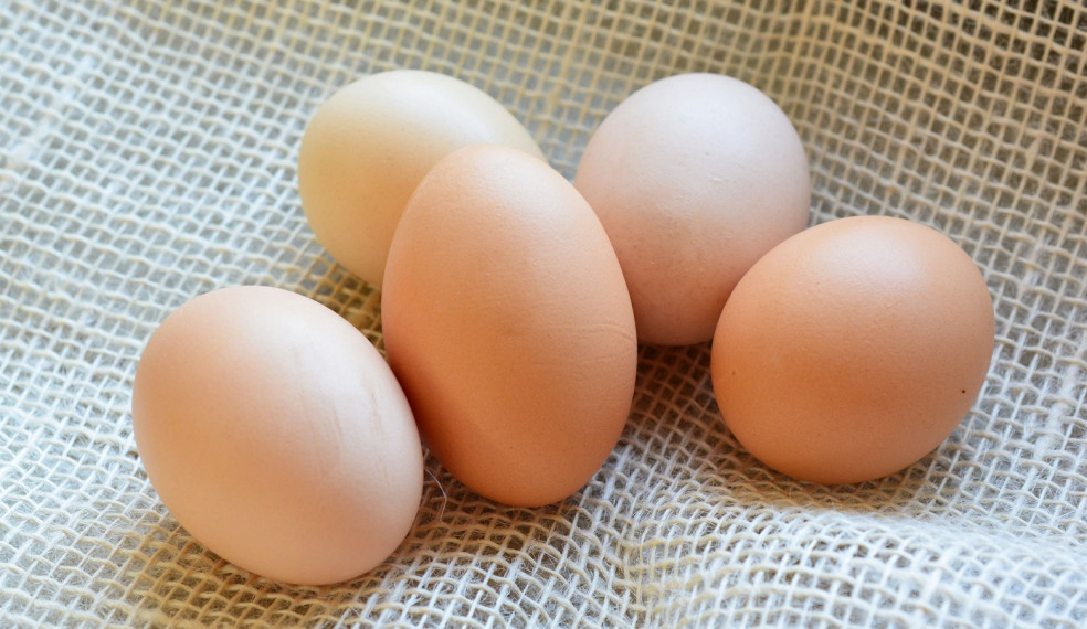 tipy na vajíčka