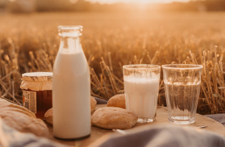 Je mlieko to najlepšie pre kosti? Odhaľ skutočnú pravdu!