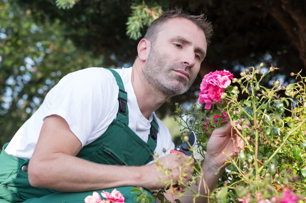 Prírodná inteligencia