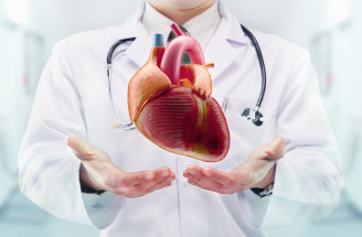 TOP zaujímavosti o ľudskom srdci: Akú službu pre nás robí?