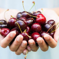 Čerešne – malé, ale DOKONALÉ ovocie! Čo všetko obsahujú a dokážu?