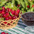 Čerešne nielen do koláča – objavte čaro zavárania a zásobte sa fantastickými džemami