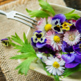 Ktoré kvety sú jedlé? Skúste túto netradičnú a zdravú pochúťku i vy!