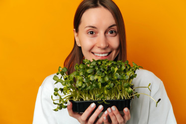 Mikrozelenina alebo microgreens – ako si doma pestovať túto vitamínovú bombu?