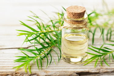 Tea tree oil ti v lekárničke nesmie chýbať. Zatočí s týmito neduhmi!