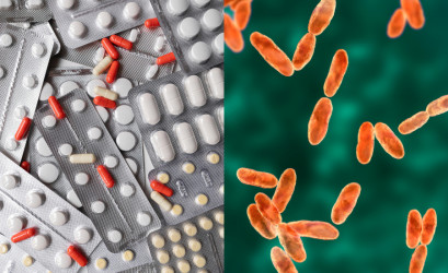 Antimikrobiálna rezistencia: Prečo vzniká rezistencia na antibiotiká či antivirotiká?