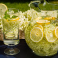 Domáca bazová limonáda, víno, likér či med – recepty z bazy, ktoré musíte poznať