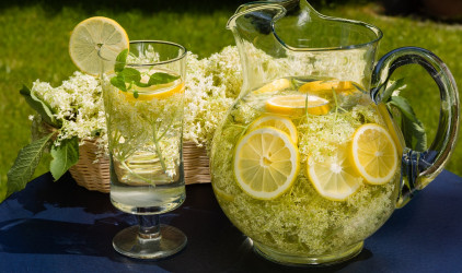 Domáca bazová limonáda, víno, likér či med – recepty z bazy, ktoré musíte poznať