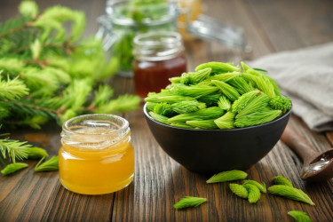 Domáci sirup proti kašľu z výhonkov smreka: Jednoduchý a účinný!