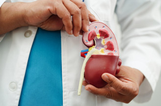Transplantácia obličky: Ako prebieha zákrok a kto ju môže podstúpiť?