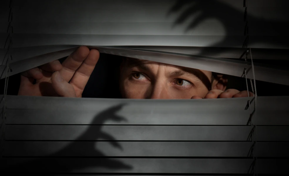 Paranoidná porucha osobnosti
