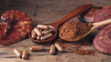 Medicinálne huby: Ako nám liečivé huby dokážu pomôcť so zdravím?