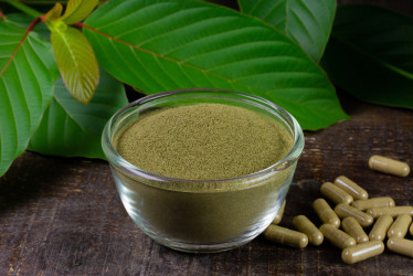 Kratom: Prírodný zázrak alebo len ďalšia kontroverzia? Zásobíte sa?