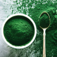 Spirulina – účinky, použitie a možné riziká tejto modrozelenej riasy
