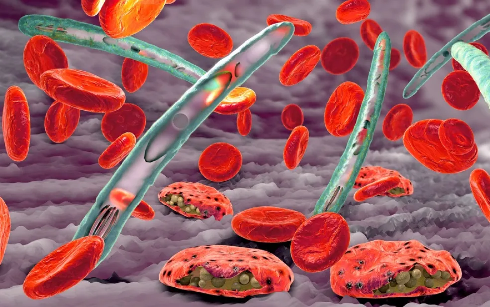 Plasmodium