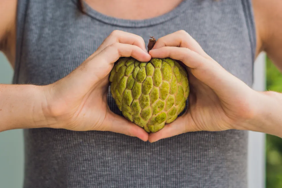zdravotné benefity cherimoye