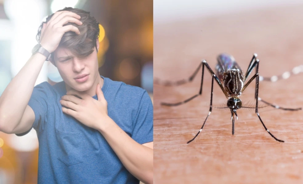 Horúčka Dengue