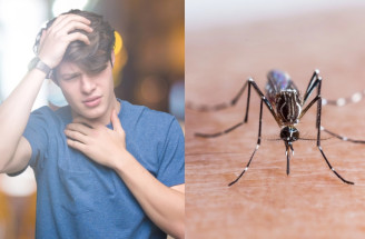 Horúčka Dengue: V ktorých krajinách a ako sa môžeme nakaziť týmto ochorením?