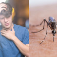 Horúčka Dengue: V ktorých krajinách a ako sa môžeme nakaziť týmto ochorením?