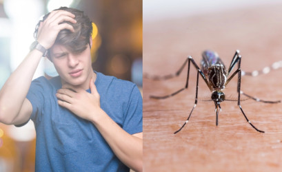 Horúčka Dengue: V ktorých krajinách a ako sa môžeme nakaziť týmto ochorením?