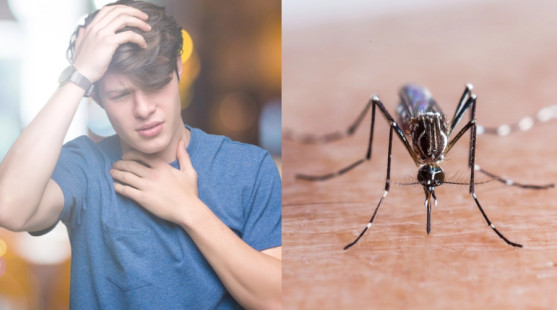 Horúčka Dengue: V ktorých krajinách a ako sa môžeme nakaziť týmto ochorením?