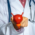 Zväčšená prostata: Ako na seba upozorní a čo je príčinou problému?