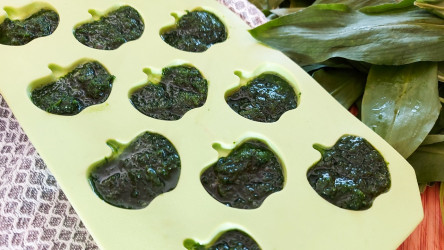 RECEPT: Bujón s medvedím cesnakom – skvelý nielen do polievok
