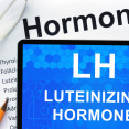Luteinizačný hormón v ženskom tele – čo spôsobuje jeho nízka alebo vysoká hladina?