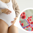 Vaginálna mykóza v tehotenstve – prečo je u tehotných žien vyššie riziko a ako postupovať pri liečbe?
