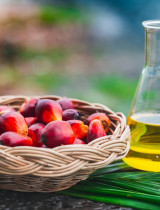 Je palmový olej v potravinách problém? Ako vplýva na zdravie či prírodu?