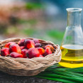 Je palmový olej v potravinách problém? Ako vplýva na zdravie či prírodu?