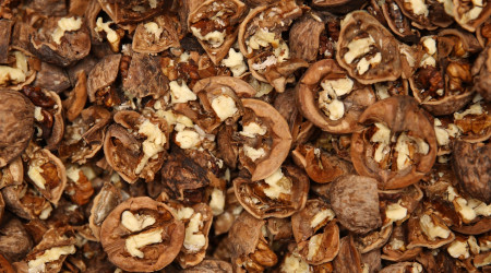 Nevyhadzujte škrupiny z orechov! Tu je 11 šikovných trikov, ako použiť orechové škrupiny