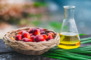 Je palmový olej v potravinách problém? Ako vplýva na zdravie či prírodu?